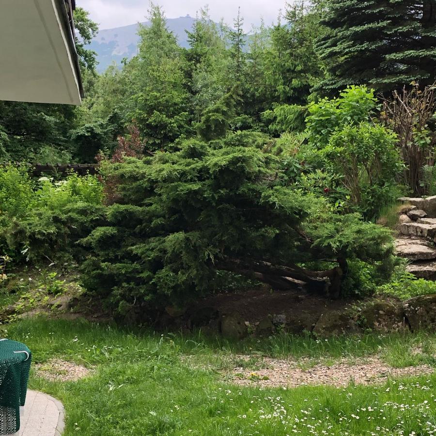 Azyl Karpacz - Kazdy Pokoj Z Wlasna Kuchnia I Lazienka Exterior foto