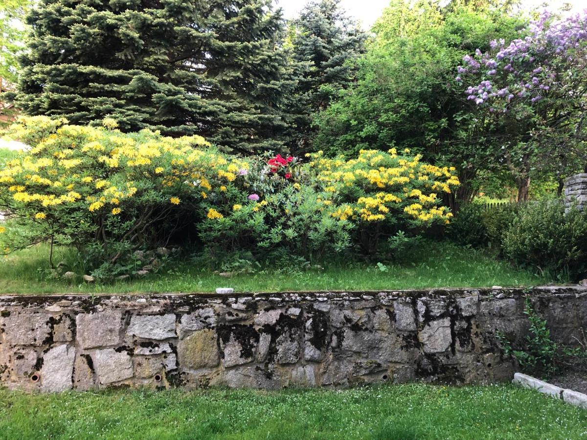 Azyl Karpacz - Kazdy Pokoj Z Wlasna Kuchnia I Lazienka Exterior foto